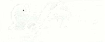 The logo